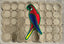 Parrot Art