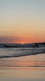 yoga retreat march 2026